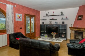 Een televisie, een open haard, een dvd-speler en boeken