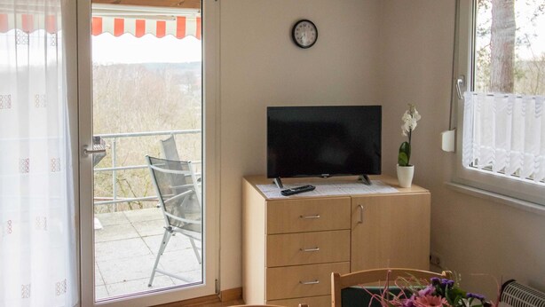 Quarto com porta de vidro deslizante que dá para uma varanda, televisão em um móvel de madeira, relógio na parede e planta em vaso.