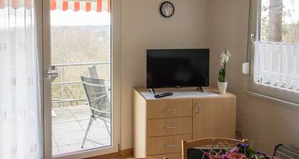 Maison de vacances Charlotte - Maison de vacances Reinhold in Feldberg