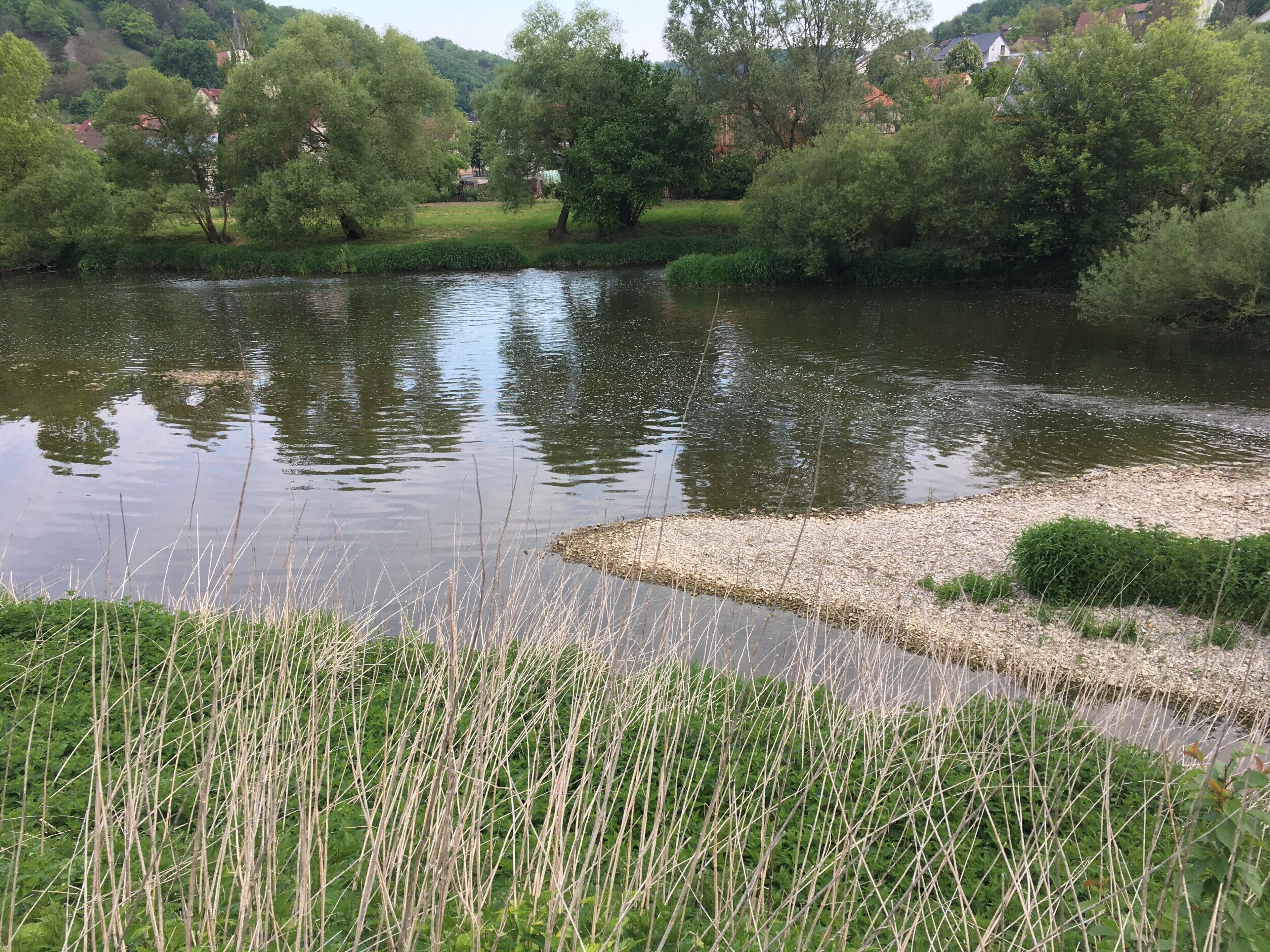 A calm river with a pebbled bank and dense greenery.
