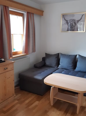 Ein modernes Zimmer mit einer Couch, einem kleinen Holztisch, einem Heizkörper und einem Fenster mit Vorhängen.