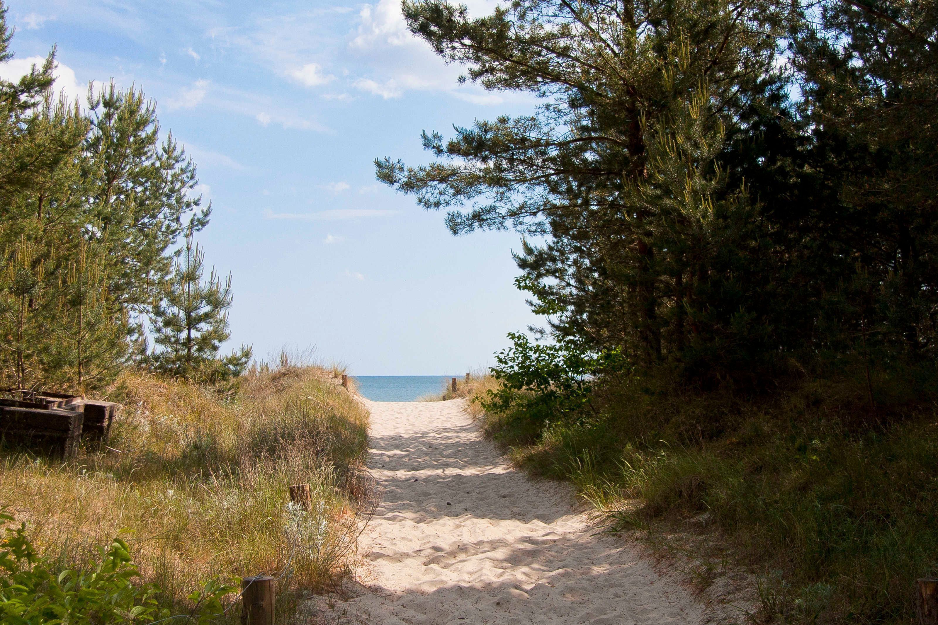 Vlak bij het strand