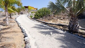 A paved pathway winding through a landscaped area with palm trees and cacti. - Finca Vinco with heateble Pool (Alcalá)