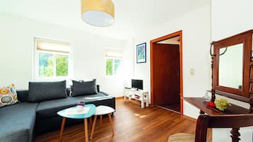 Smart TV, DVD player, books, stereo