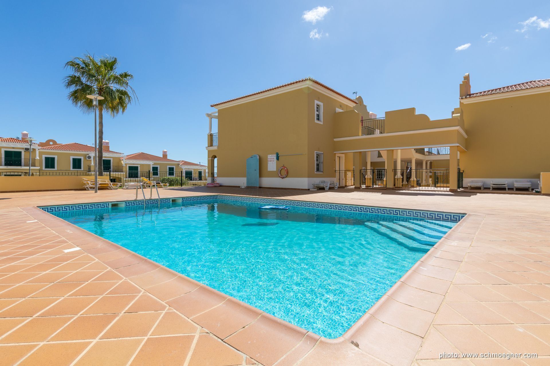 A swimming pool with a geometric tile pattern, surrounded by a patio area with lounge chairs and a palm tree.