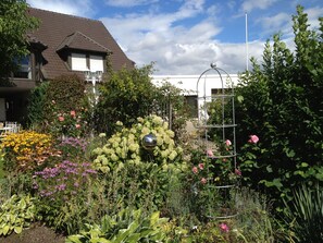 المنطقة المحيطة بالمنشأة