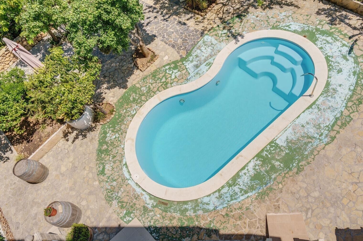 Una piscina con borde de piedra, rodeada de vegetación y un patio de piedra.