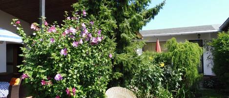 Overnatningsstedets område