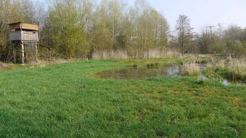 Overnatningsstedets område