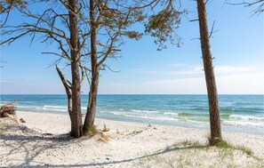 A beach with three trees and the ocean. - Gorgeous home in Nexø with sauna (Nexø)