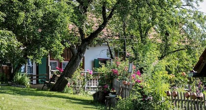 An earthly paradise in the land of longing with a large garden - for families