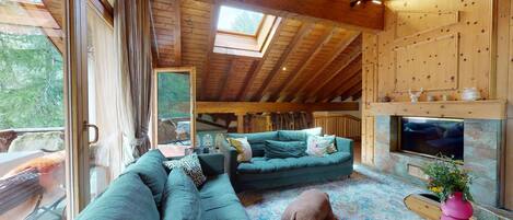 TV, fireplace, DVD player, books