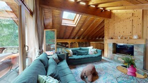 TV, caminetto, lettore DVD, libri