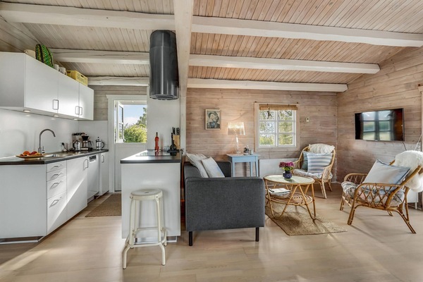 Televisión, chimenea, reproductor de DVD