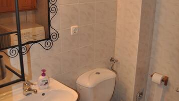 Shower, hair dryer, towels, toilet paper