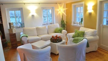 TV, DVD player, books, video library