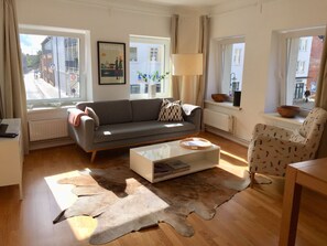 TV, books - Tastefully furnished 65sqm apartment in a central location in Husum (Husum)