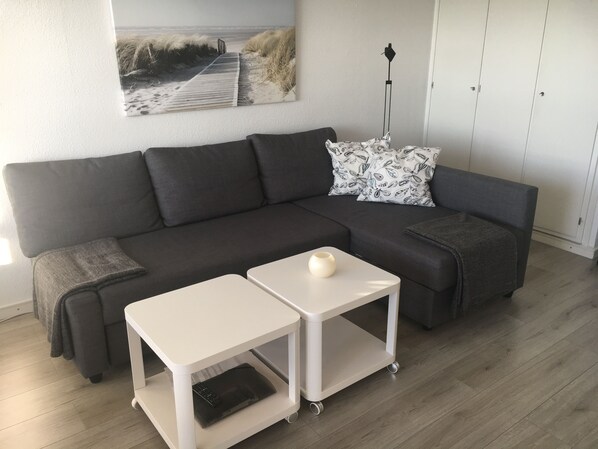 TV, DVD player, ping pong, books