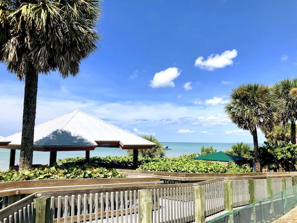 A wooden deck with a gazebo, palm trees, and a view of the ocean.