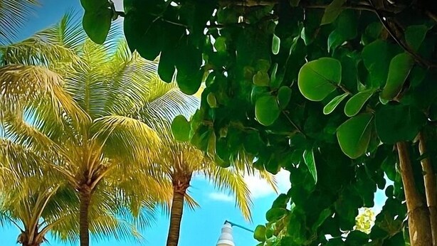 Ein Strand mit Palmen, bunten Sonnenschirmen und einem Zäunchen mit bemalten Blumen.