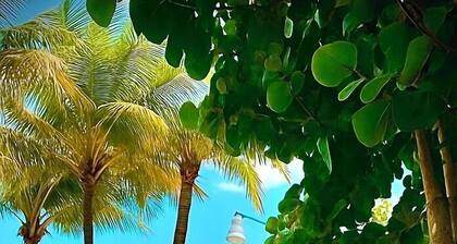 Bonita Beach Villa, private heatable pool, close to beaches, highspeed wifi