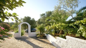Un camí pavimentat que condueix a una arcada blanca envoltada de vegetació exuberant i plantes en flor.
