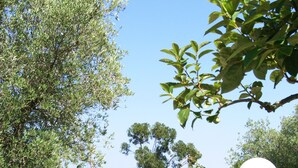 Una cadira de relax exterior blanca amb tendal, situada en un jardí amb una columna blanca i un lluminari esfèric.