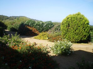 Áreas de la propiedad