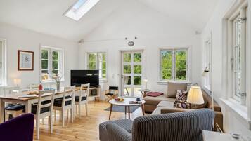 TV, fireplace, DVD player