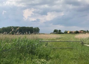 Image sans description, 5 de 10, bouton