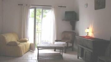 TV connectée, cheminée, lecteur de DVD, livres