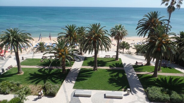 A coastal promenade with palm trees, a beach, and a clear view of the sea. - Exceptional apartment seafront (Armação de Pera)