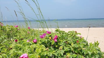 Playa en los alrededores y camastros