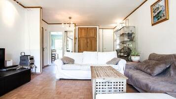 Télévision, chaîne hi-fi