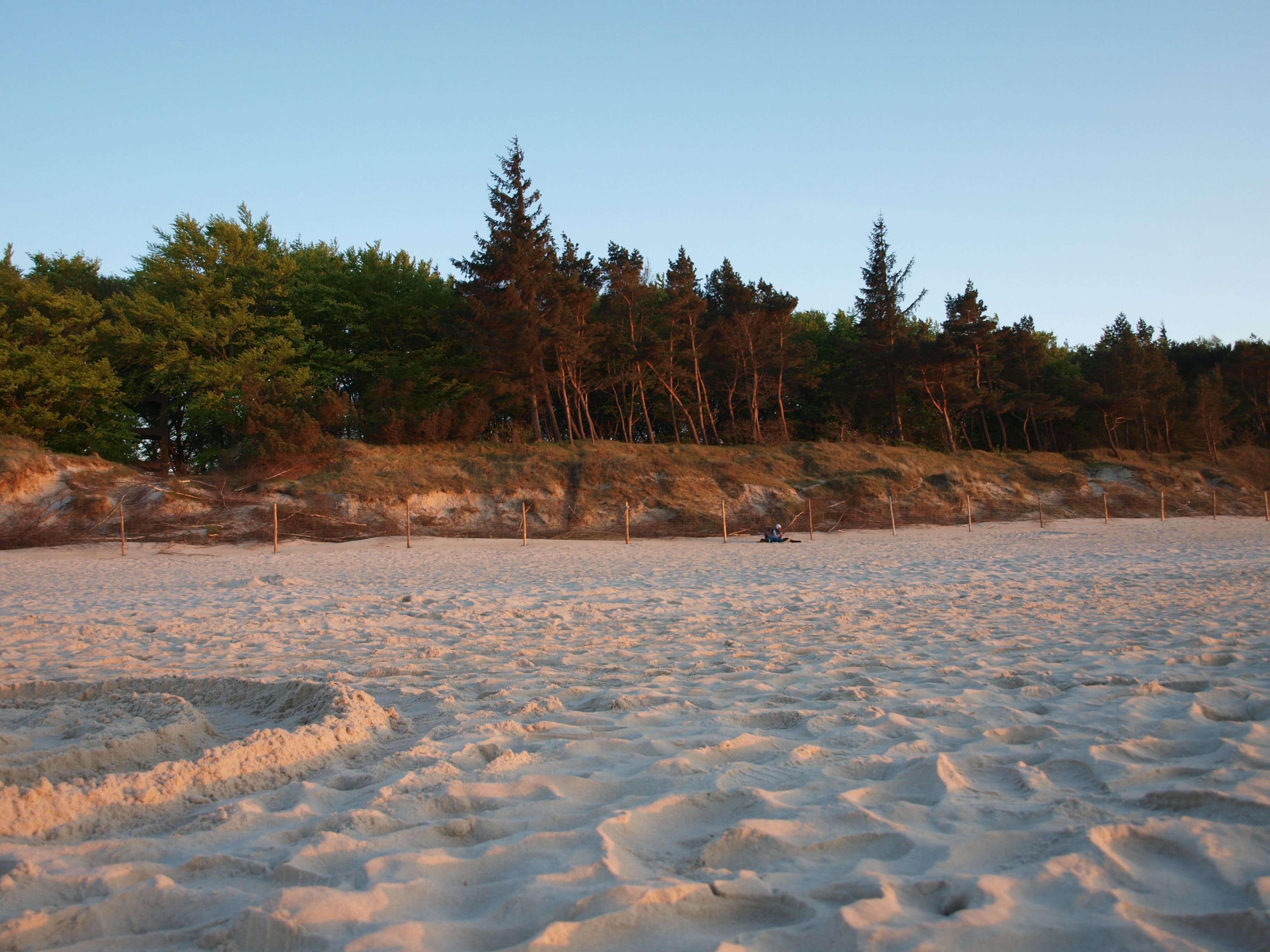Une plage avec des empreintes de pas dans le sable, une personne assise sur le sable et des arbres en arrière-plan.