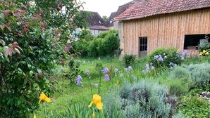 Un edificio de madera rústico con techo inclinado, rodeado de un jardín exuberante con diversas plantas y flores.
