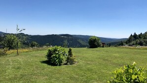 Un champ verdoyant, parsemé de quelques arbres, avec une chaîne de montagnes lointaine se découpant sur un ciel bleu dégagé.
