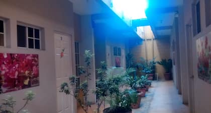 Hotel Shagul