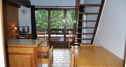 STUDIO MEZZANINE 4 PERS. AVEC BALCON AU PIED DES PISTES DU HOHNECK