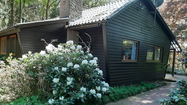 Una cabaña con chimenea de ladrillo, antena parabólica y ventana con vistas del entorno verde.