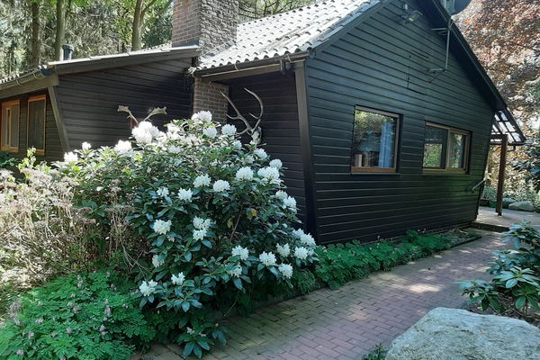 Weg zum Haus
