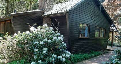 Nature vacation on 23000 m² natural site