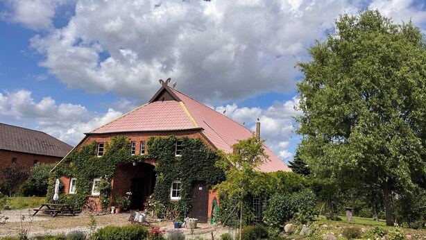 A traditional brick building with a steeply pitched roof, ivy-covered walls, and a large tree in the foreground. - Farmhouse near the Baltic Sea (Upahl)