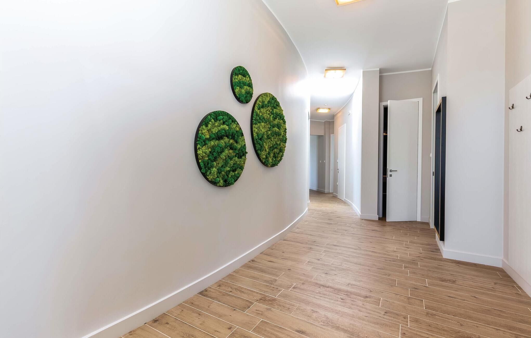 A hallway with a curved ceiling, wooden flooring, and three green wall art pieces.