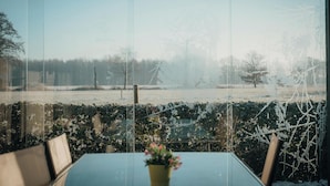 Spiseområde
