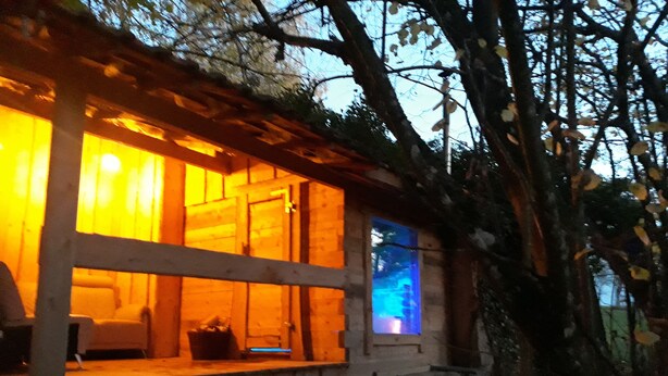 Una cabaña de madera con ventanas grandes, una puerta visible y un pequeño porche.