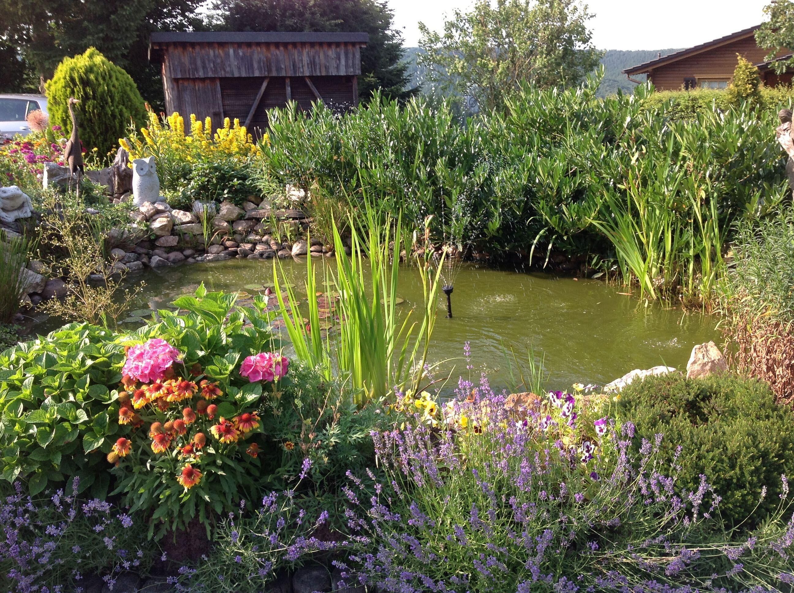 Teich - vor dem Haus
