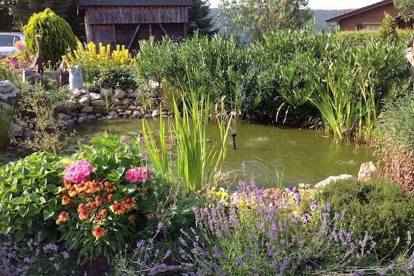 Teich - vor dem Haus