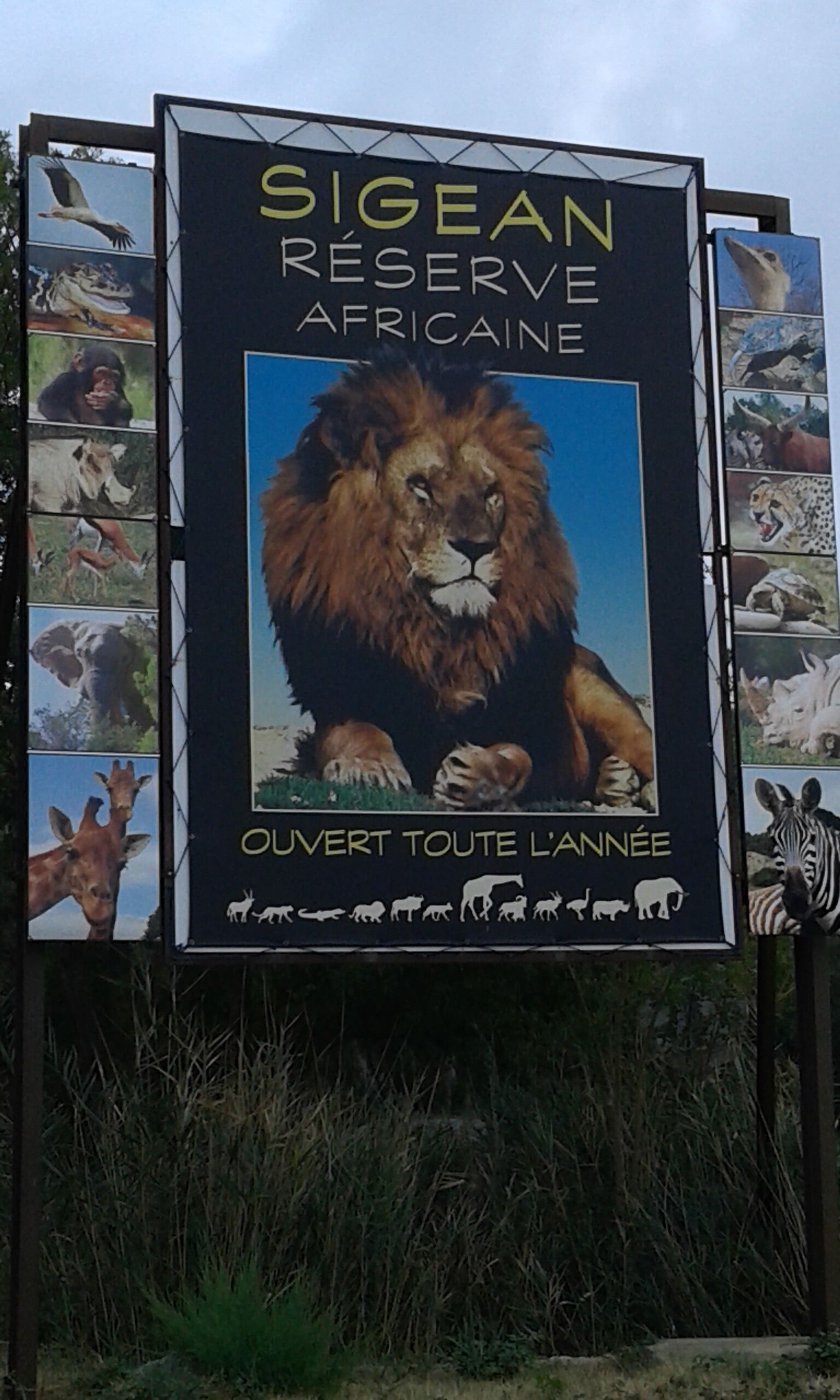 Un panneau indiquant la réserve de Sigean en Afrique, avec un lion et diverses illustrations d’animaux sauvages.