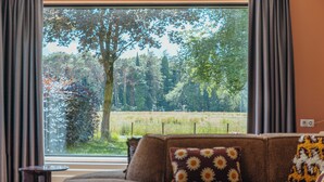 A living room with a large window, a brown sofa, and a small table. - Group Villa for 24 people (Voorthuizen)